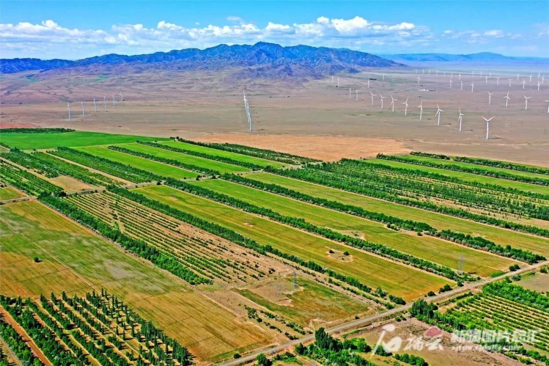 202304061101599971.jpg 202304061101599971.jpg