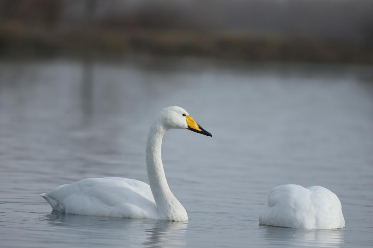 202401161127516978.png 202401161127516978.png