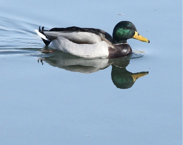 202401161128150597.png 202401161128150597.png