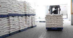 新年新气象 奋力开新局丨开足马力忙生产 全力以赴赶订单