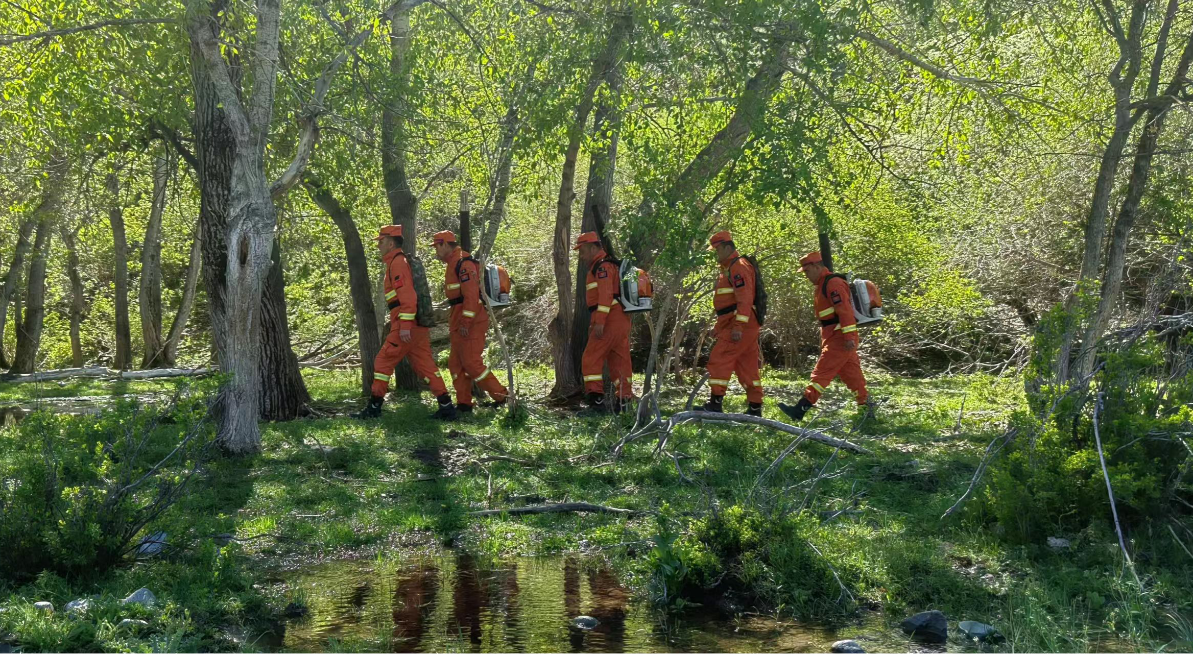 202405081101428708.png 202405081101428708.png