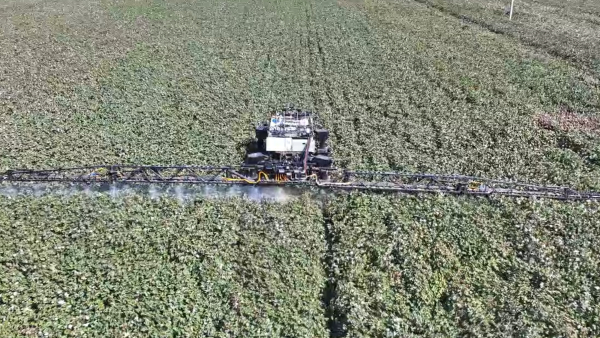 202409201143089332.jpeg 202409201143089332.jpeg