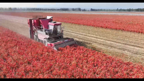 202410111059221735.jpeg 202410111059221735.jpeg