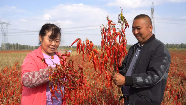 202410111059470942.jpeg 202410111059470942.jpeg