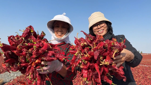 202410111059599865.jpeg 202410111059599865.jpeg