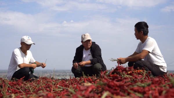 202410111100118579.jpeg 202410111100118579.jpeg