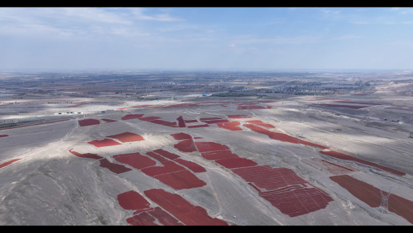 202410111100255581.jpeg 202410111100255581.jpeg