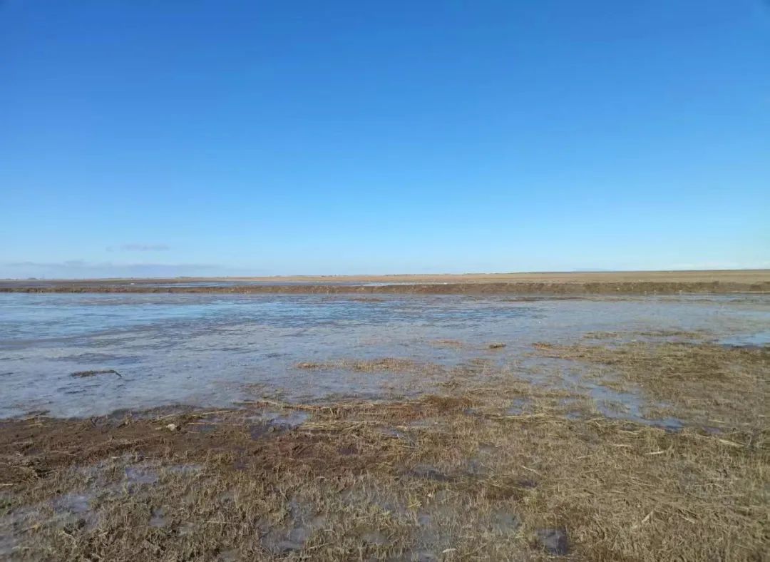 202504011105020341.jpg 202504011105020341.jpg