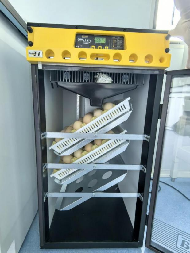 202504011135113193.png 202504011135113193.png