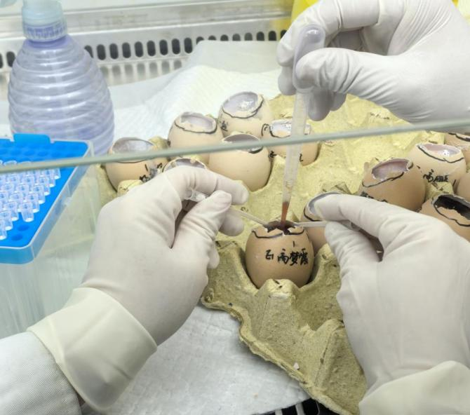 202504011135545595.png 202504011135545595.png