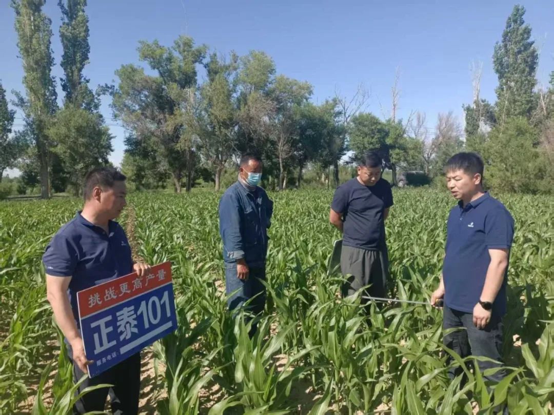 5.裕民农技专家深入田间地头进行指导.jpg 5.裕民农技专家深入田间地头进行指导.jpg