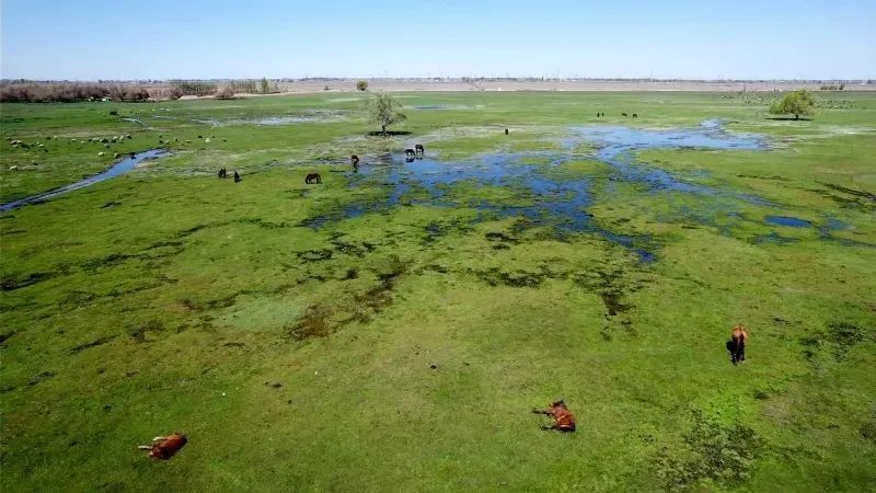 640 (2).jpg 640 (2).jpg