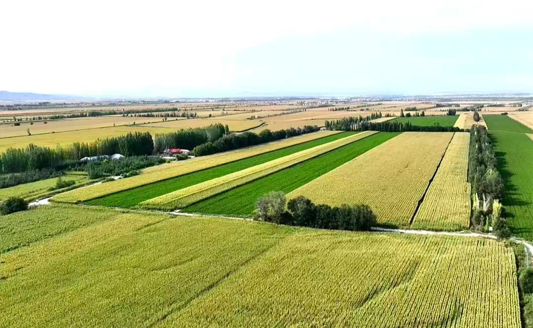 微信图片_20251106112934.jpg 微信图片_20251106112934.jpg