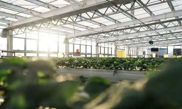 日新月异看塔城｜一水两用生态循环~塔城立体智慧农业激活乡村振兴“一池春水”