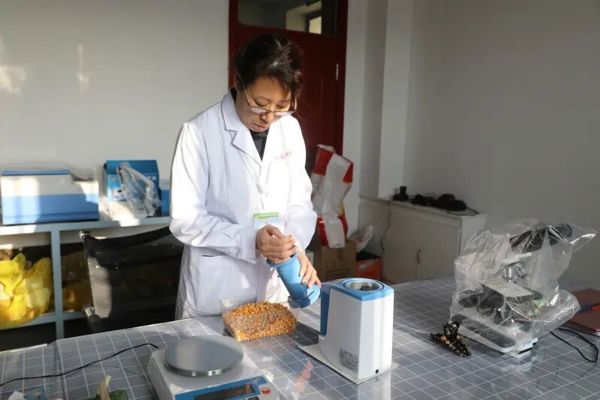 日新月异看塔城｜一粒种子的强农路~乌苏种业绘就从“种”到“强”新答卷