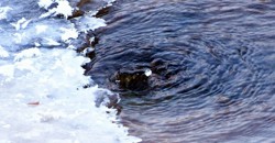 文润塔城 | 冬日冰涧绘美景 冰雪交融藏生机