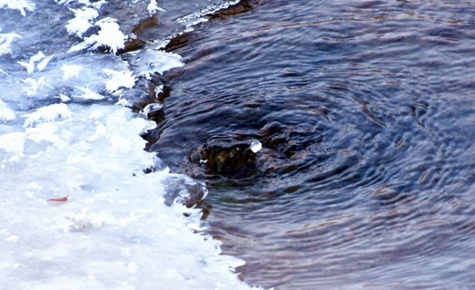 文润塔城 | 冬日冰涧绘美景 冰雪交融藏生机