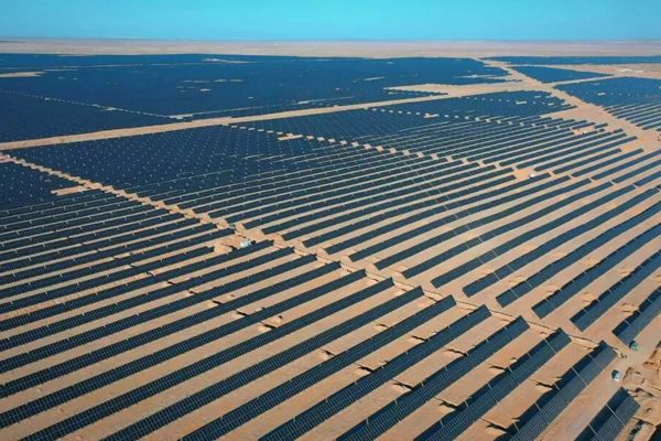 实干争先创佳绩 聚力奋进启新程