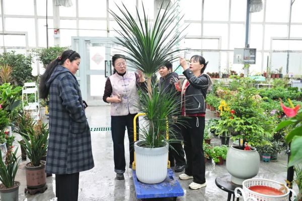 新春走基层 | 春节期间，来这里打卡乐淘淘~