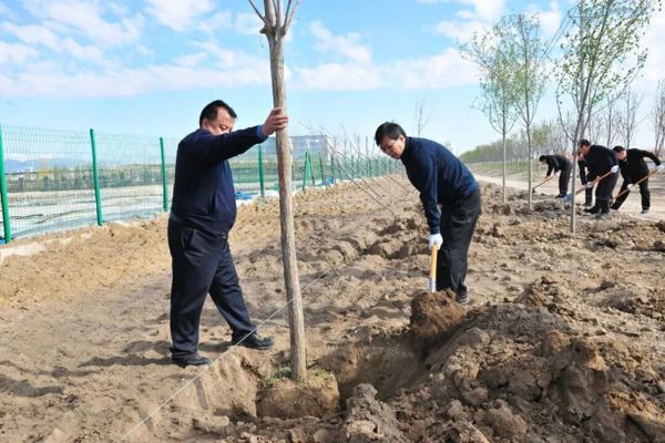 地区领导集体参加春季义务植树活动