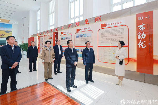 陈小江在哈密市伊吾县调研