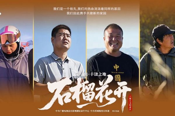 共建美丽家园！额敏县干部职工集中收看纪录片《石榴花开》凝聚奋进合力