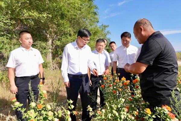 支现伟在裕民县调研时强调 立足资源禀赋 夯实基层治理 做强特色产业 推动地区高质量发展提质增效