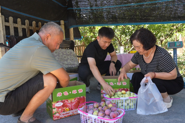 能力提升年——额融融·益企助农牧｜额敏加尔布拉克社区果香飘万里