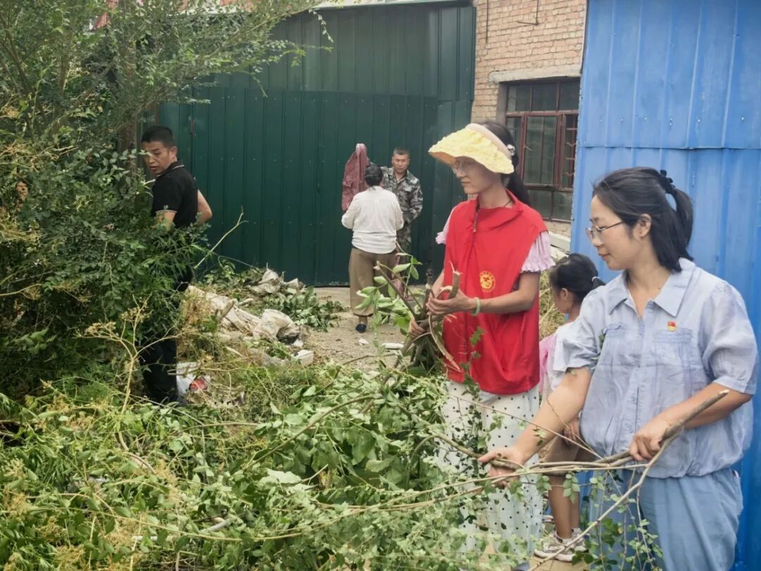 哈拉布拉镇文化街社区党员志愿者打扫老旧小区.jpg