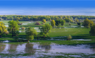心之所向 爱上塔城