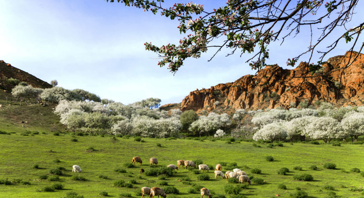 边疆古城   塞上粮仓   山川额敏